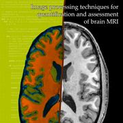 Image processing techniques for quantification and assessment of brain MRI